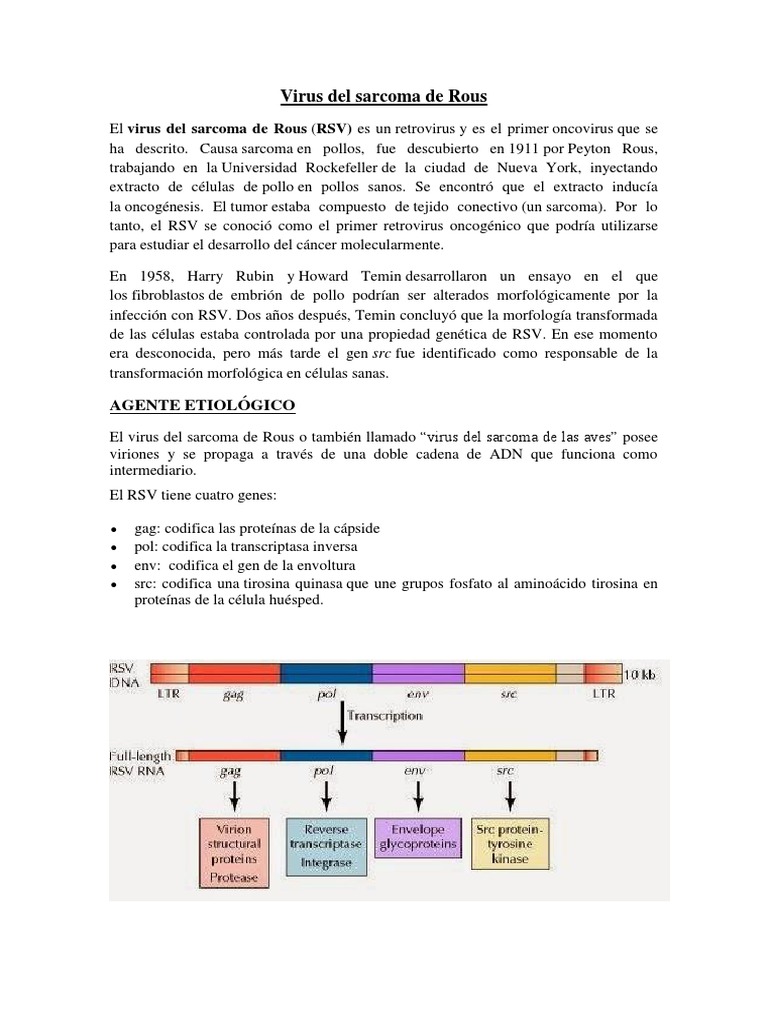 Virus Del de Rous PDF Biología Molecular Biología Celular