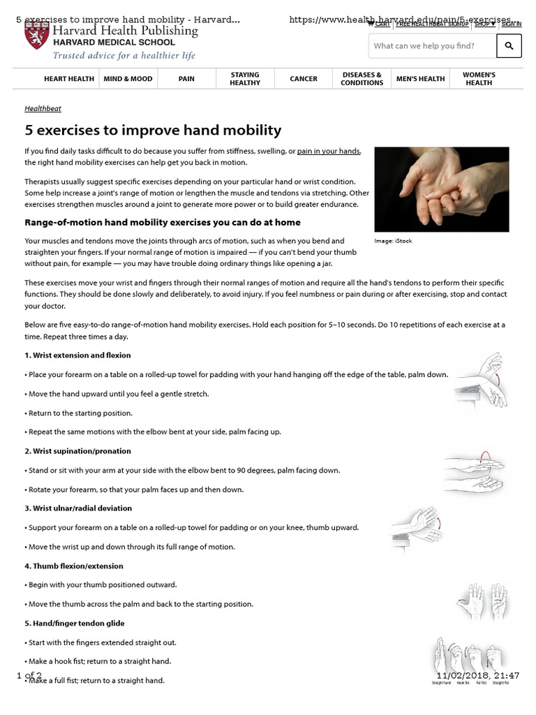 Wrist Exercices Hand001 PDF Hand Anatomical Terms Of Motion