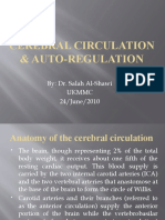 Cerebral Circulation &amp Auto-Regulation