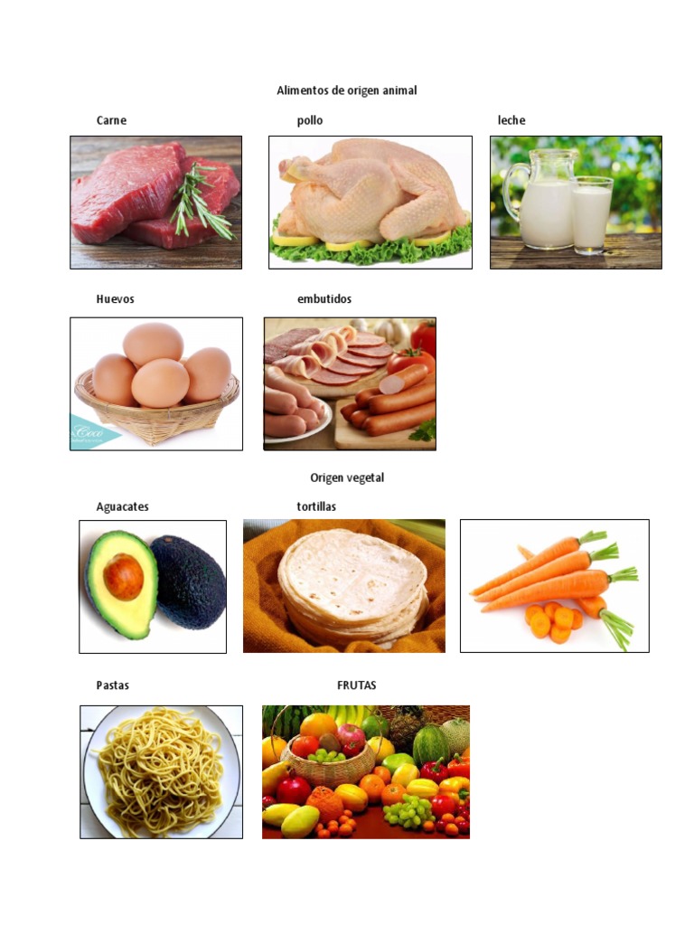 Alimentos de Origen Animal, Vegetal y Mineral
