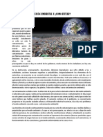 Articulo Contaminacion Ambiental