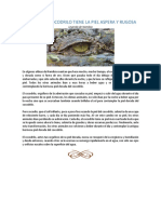 Por Que El Cocodrilo Tiene La Piel Aspera y Rugosa PDF