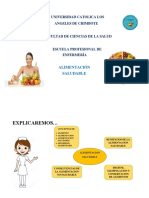 ALIMENTACION.docx