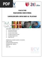 Ensayo Liofilizacion