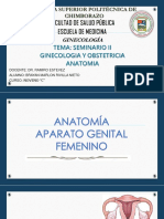 Anatomia y Fisiologia Del Aparato Reproductor Femenino Grupo 2