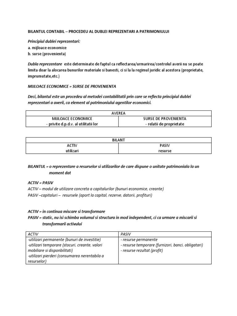Bilantul Contabil | PDF