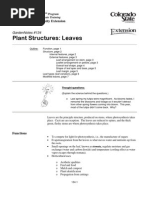 Download Leaf Structure by Chesca Panlilio Reyes SN38216741 doc pdf