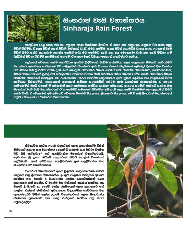 sinharaja-rain-forest-pdf