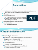 Chronic Inflammation Causes, Features and Effects