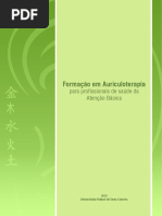 módulo 1 - curso de auriculoterapia