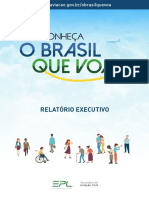 Relatorio Executivo O Brasil Que Voa PDF