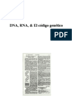 2-DNA-RNA-.pdf