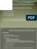 Sistem Organ Pada Hewan