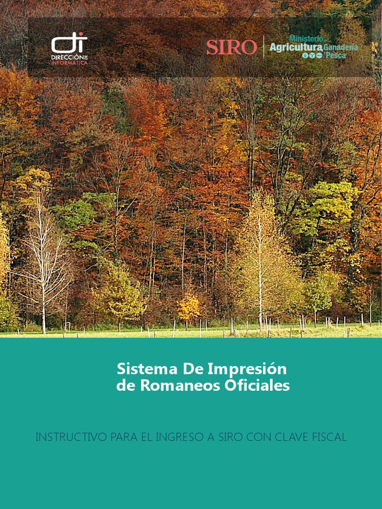 Instructivo Siro Pdf Informática Agricultura