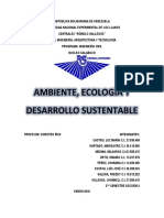 AMBIENTE.docx