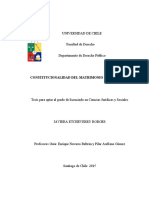 Constitucionalidad de Matrimonio Homosexual PDF