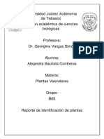 PV - Identificacion de Plantas - Alejandra Bautista Contreras.