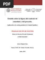 TFM_DelgadoSaez_Estudi