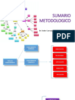 SUMARIO METODOLOGIA.pptx