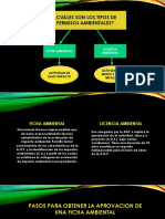 2.Ficha Ambiental