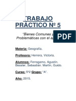 Trabajo Práctico #5: "Bienes Comunes y Problemáticas Con El Agua"