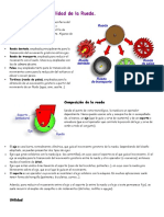 La Composición y Utilidad de La Rueda