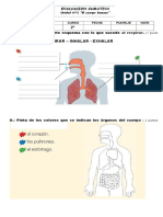 Prueba 1 Unidad N°1