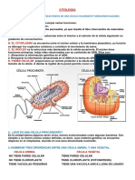 Especialidad de Citologia