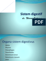 Sistem Digestif