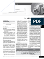 JUBILACION MINERA.pdf