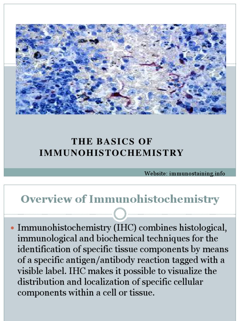 Process of Tissue Fixation in Histology Immunostaining