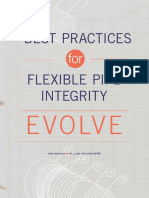 02_12_09_Feat_FlexiblePipe.pdf
