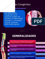 Patologia Adrian Guerra Lesiones Congenitas Vert