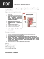 Download ANATOMI SALURAN PENCERNAAN by 30068 SN38226110 doc pdf