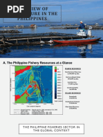 Overview of Fish Capture Methods | PDF | Fishery | Angling