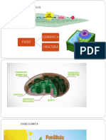 Clase 3 Ciencias Naturales