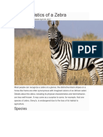 Characteristics of A Zebra