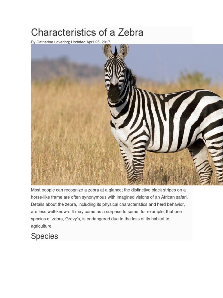 Zebra Characteristics and Behavior | PDF | Home & Garden