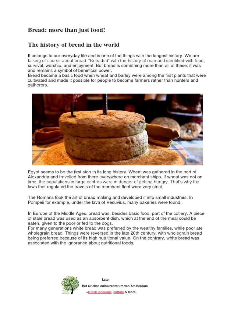 BREAD More Than Just Food | PDF | Flour | Breads