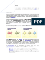 LOS ÁCIDOS NUCLEICOS