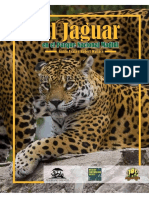 El Jaguar en El Madidi
