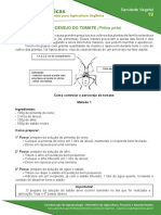  Controle Do Percevejo Do Tomate Phthia Picta