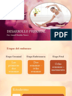 Desarrollo Prenatal