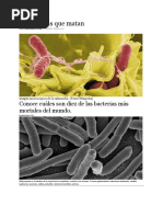 10 Bacterias Que Matan 2013