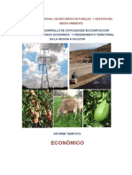 ECONOMICO.pdf