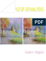 Clin2UAPrinciplesOfUrinalysis PDF