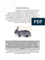 Estandarizacion de Conejos