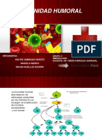 Inmunidad Humoral: Anticuerpos y Funciones Efectora