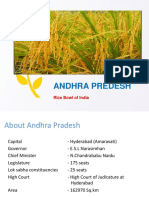 Andhra Predesh: Rice Bowl of India