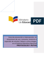 Guia de Rutas y Protocolos